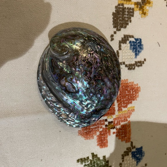 Abalone Shell - Picture 2 of 2